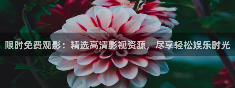 九七论理电影