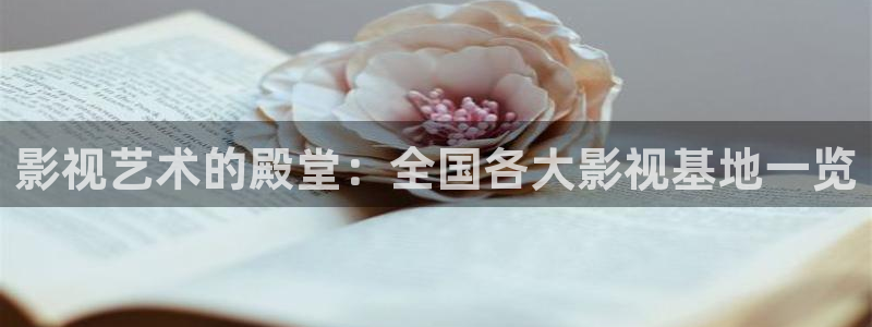 九七年的电影
