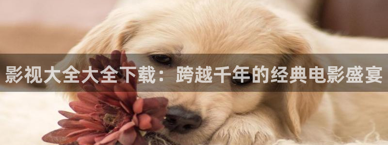 九七电影院手机在线观看电视剧免费