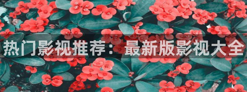 九七超碰在线