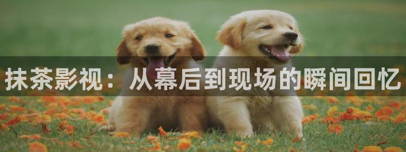 九七电影午夜理论